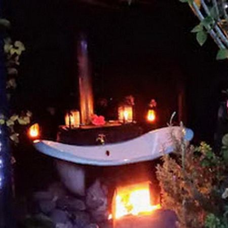 Warm Earth Cottages Aongatete Екстер'єр фото