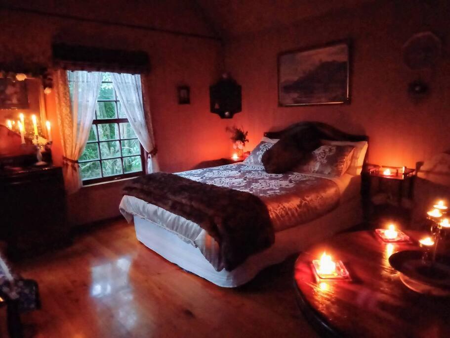 Warm Earth Cottages Aongatete Екстер'єр фото